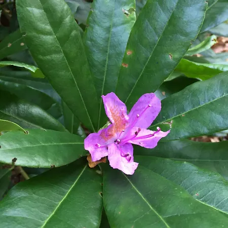 Casa de Férias La Maison De Rejane